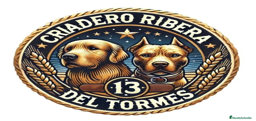 Imagen de galería {{count}}