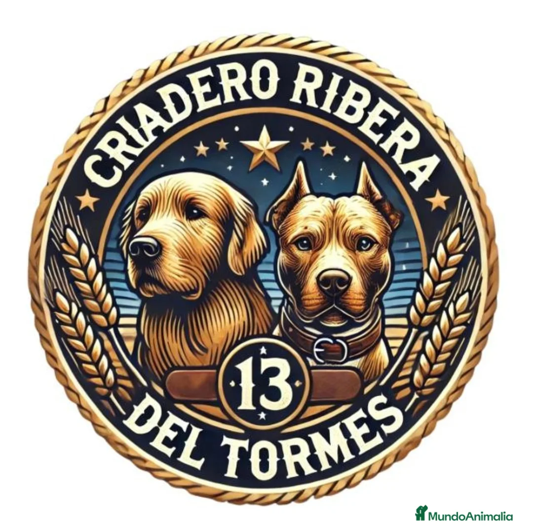 Imagen de galería {{count}}