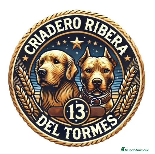 Imagen de galería {{count}}