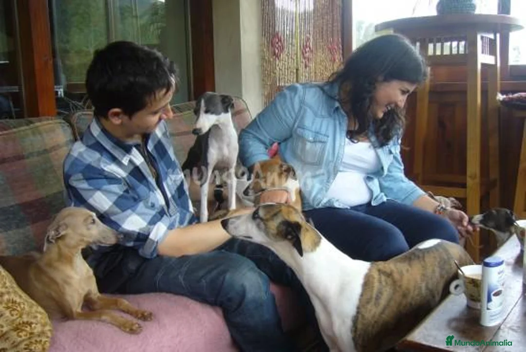 Imagen de galería {{count}}