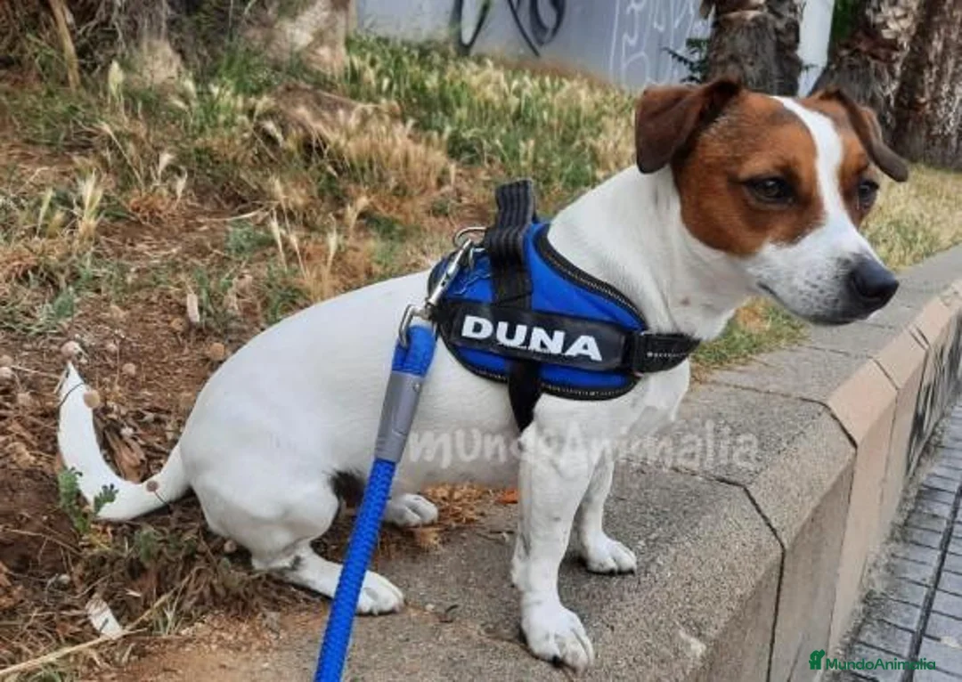 Imagen de galería {{count}}