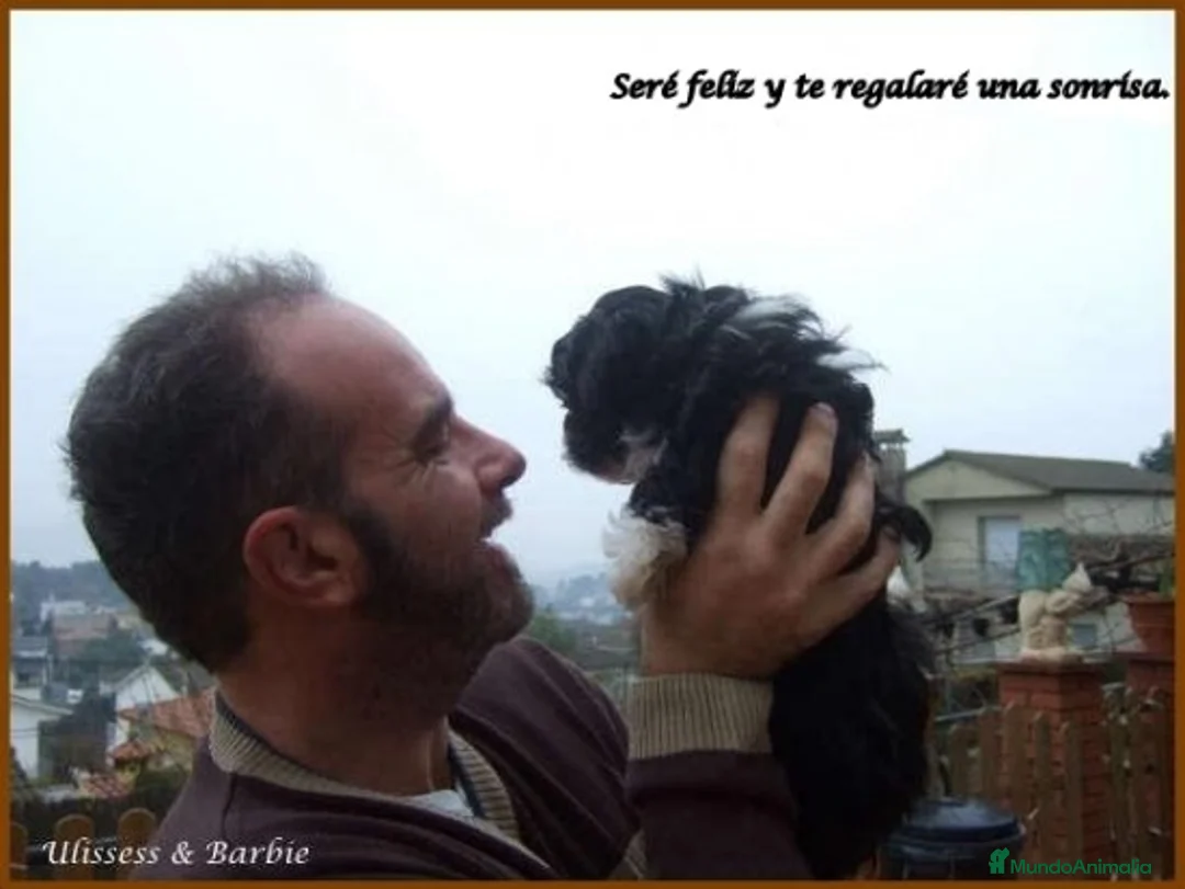 Imagen de galería {{count}}