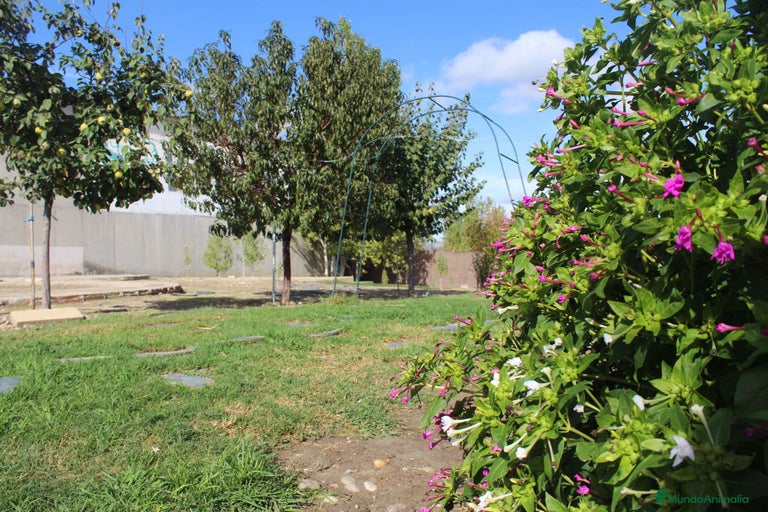 Imagen de galería {{count}}