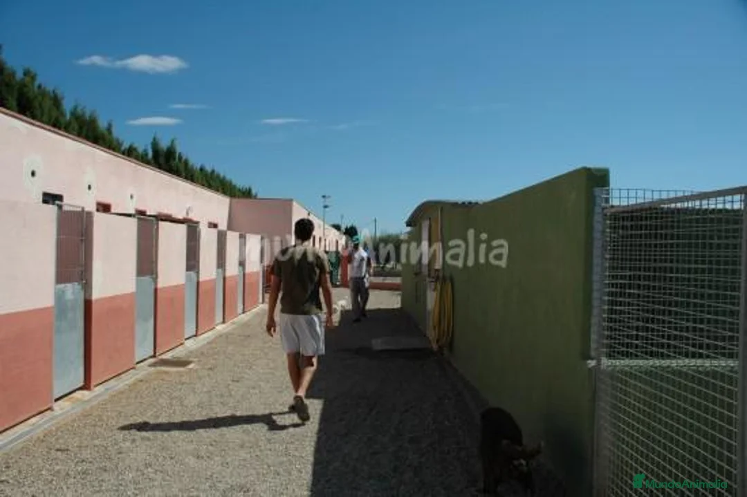 Imagen de galería {{count}}