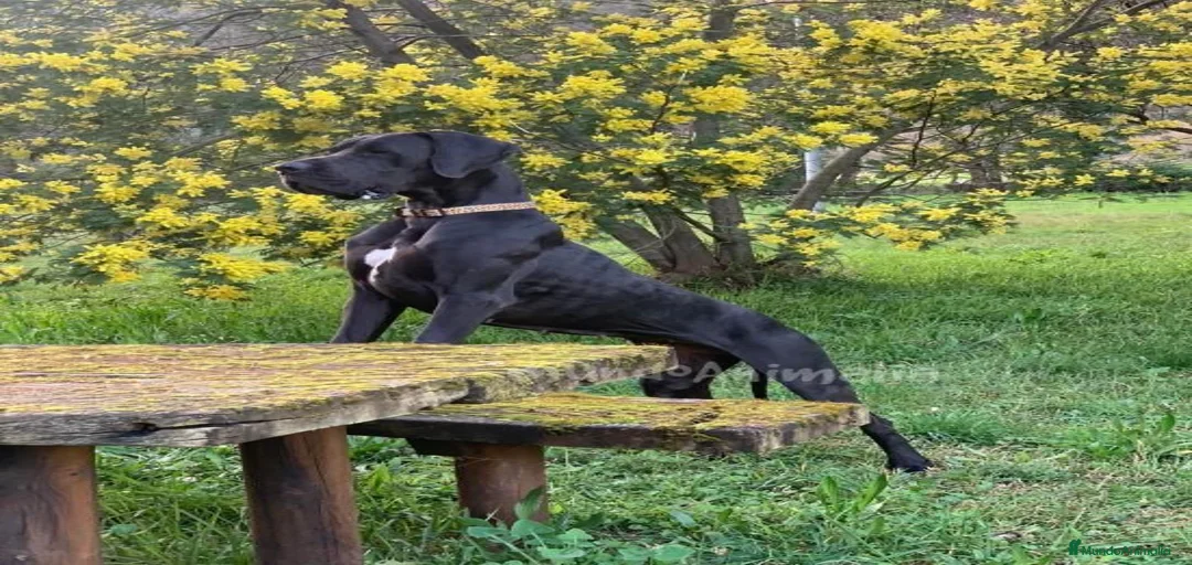 Imagen de galería {{count}}