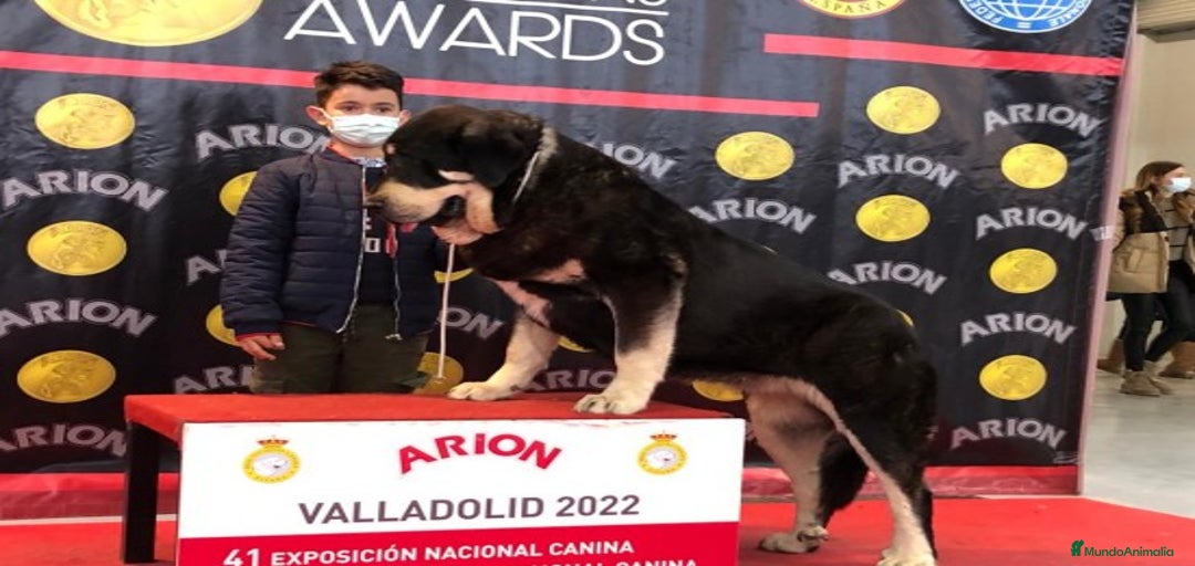 Imagen de galería {{count}}