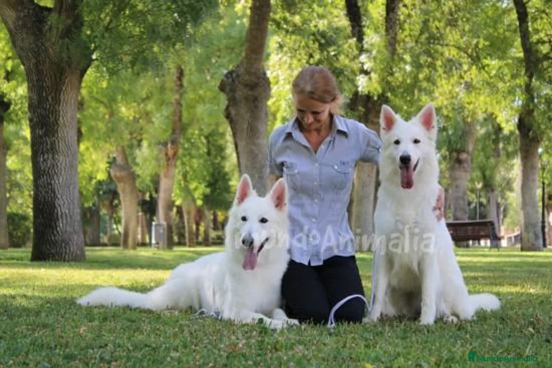 Imagen de galería {{count}}