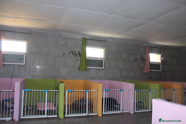 Imagen de galería {{count}}