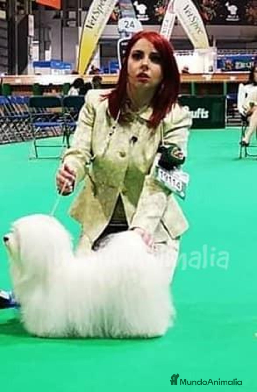 Imagen de galería {{count}}