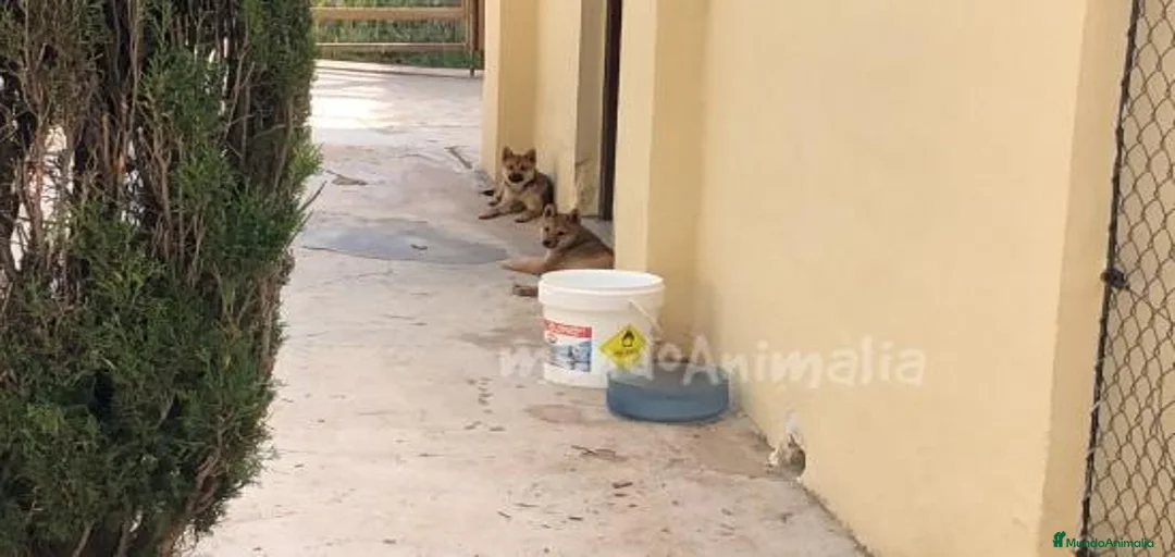 Imagen de galería {{count}}