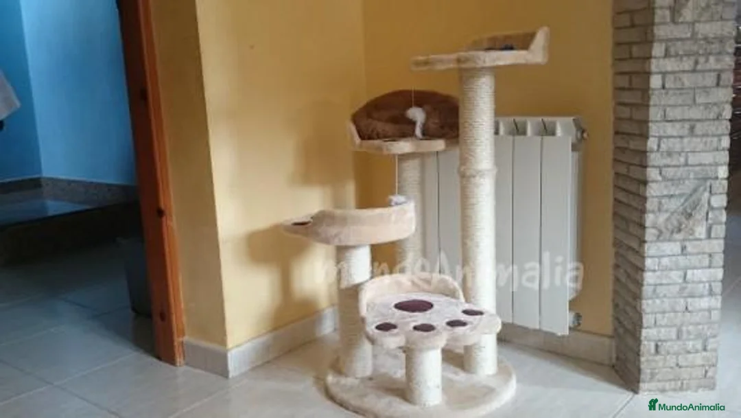 Imagen de galería {{count}}