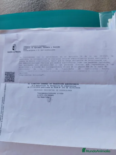 Imagen de galería {{count}}