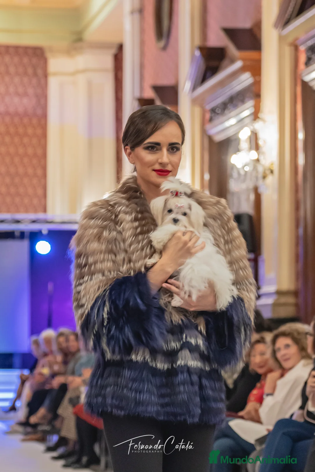 Imagen de galería {{count}}