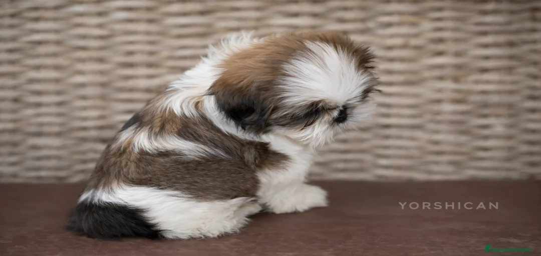 Imagen de galería {{count}}