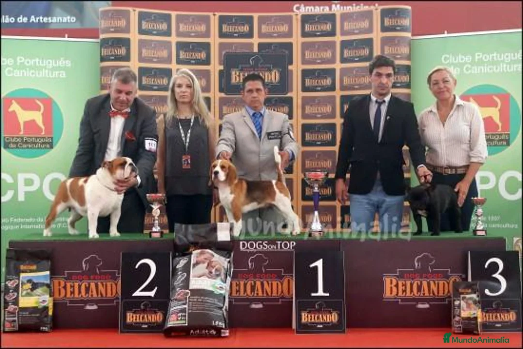 Imagen de galería {{count}}