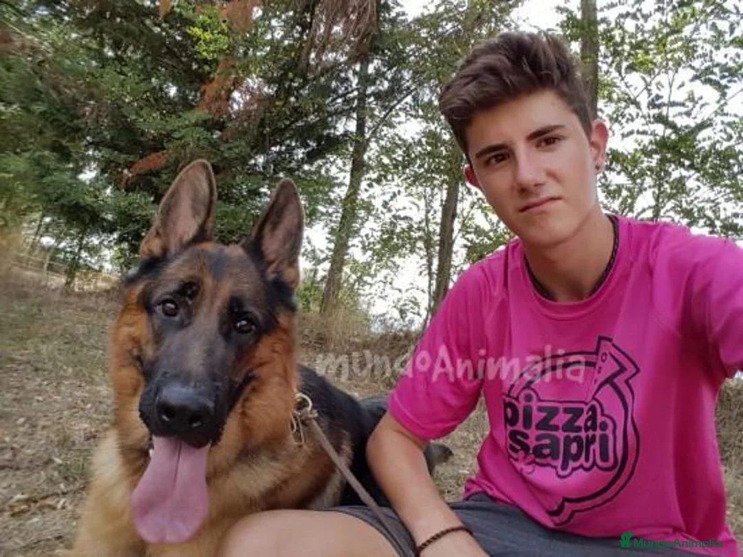 Imagen de galería {{count}}