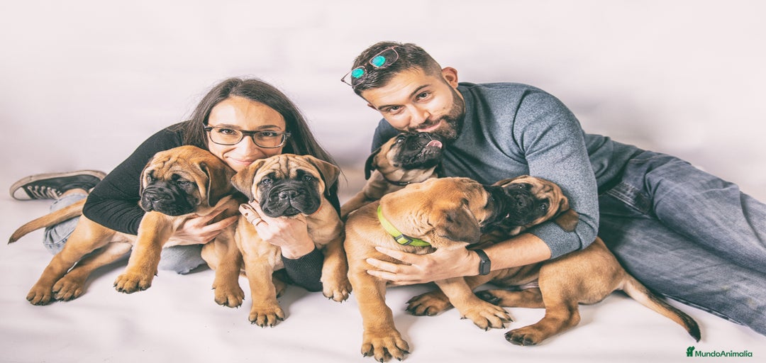 Imagen de galería {{count}}