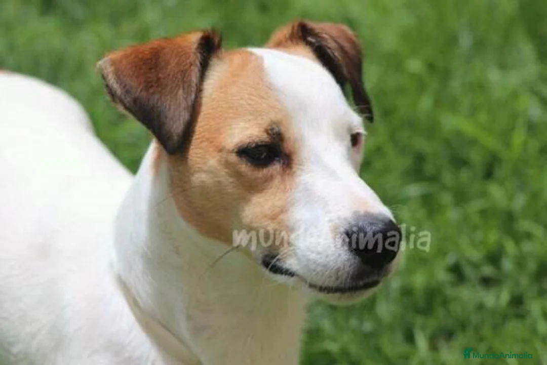 Imagen de galería {{count}}