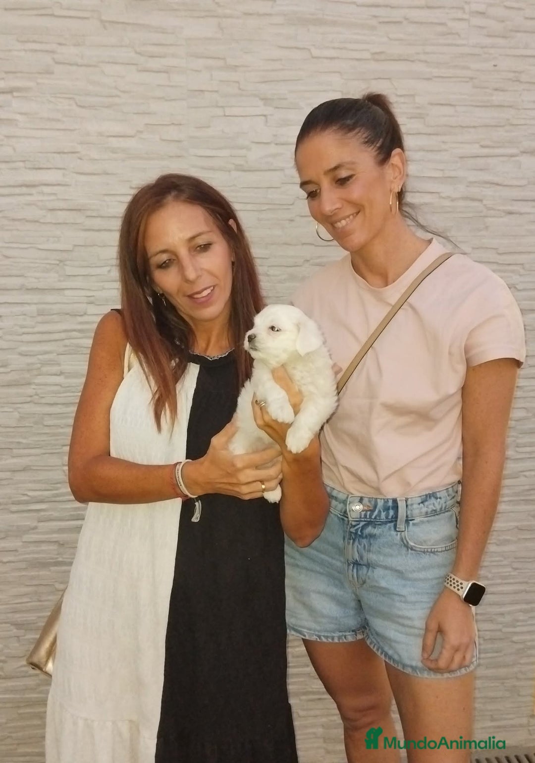 Imagen de galería {{count}}