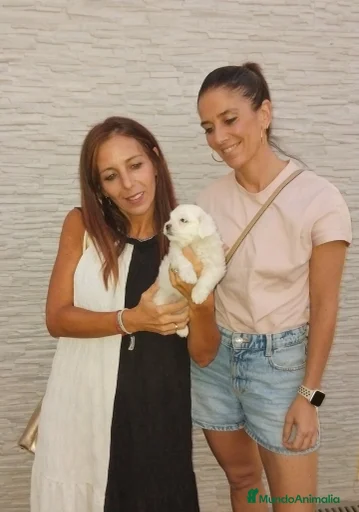 Imagen de galería {{count}}