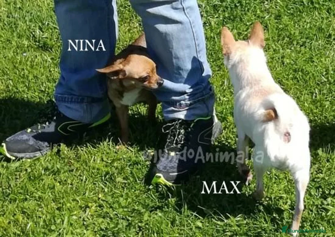 Imagen de galería {{count}}