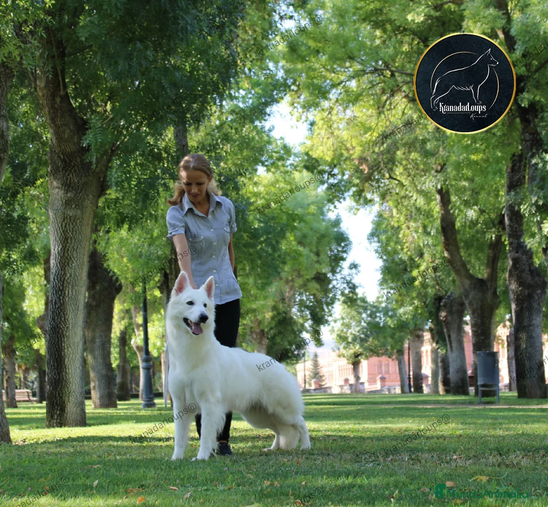 Imagen de galería {{count}}