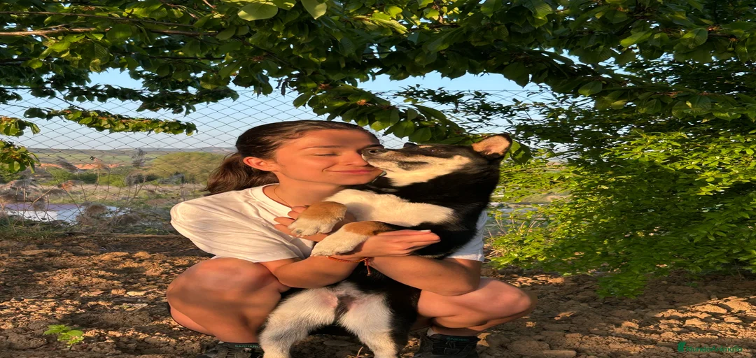 Imagen de galería {{count}}