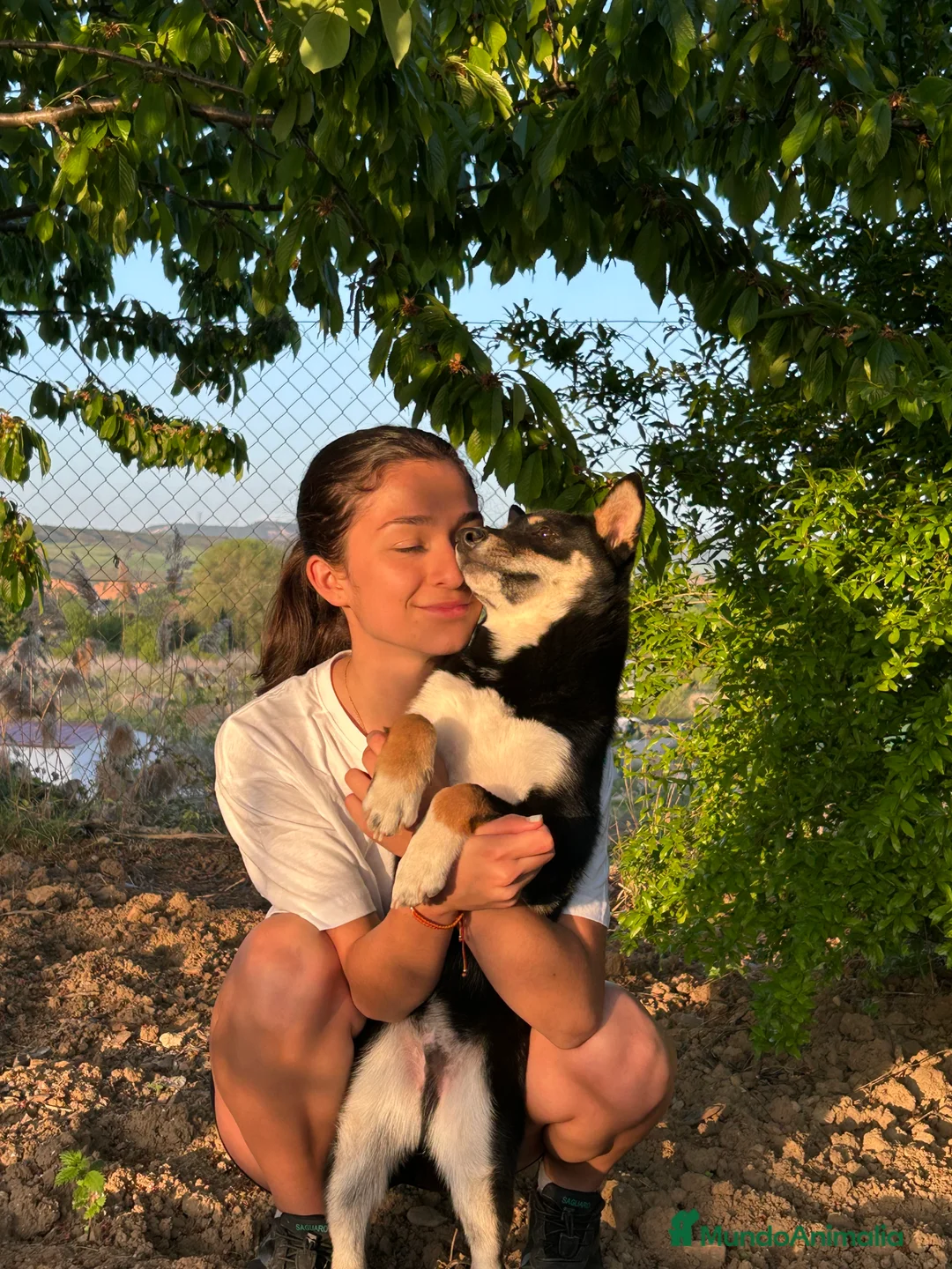 Imagen de galería {{count}}