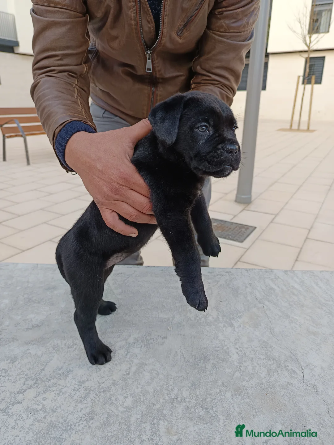 Imagen de galería {{count}}