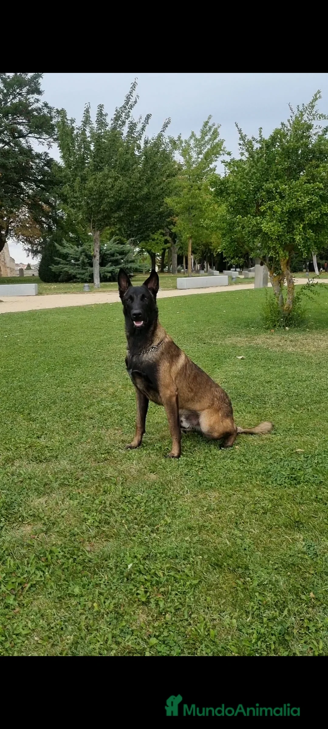 Imagen de galería {{count}}