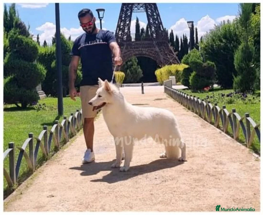 Imagen de galería {{count}}