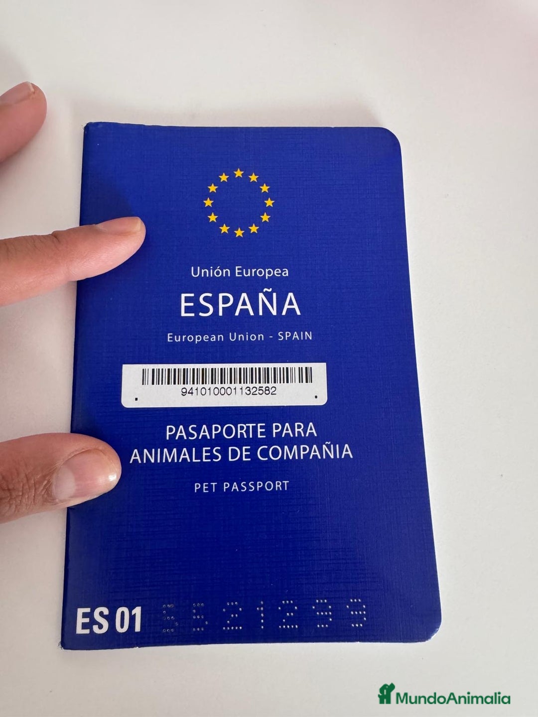 Caniche Enano perros en venta: CANICHE - Anuncio 10