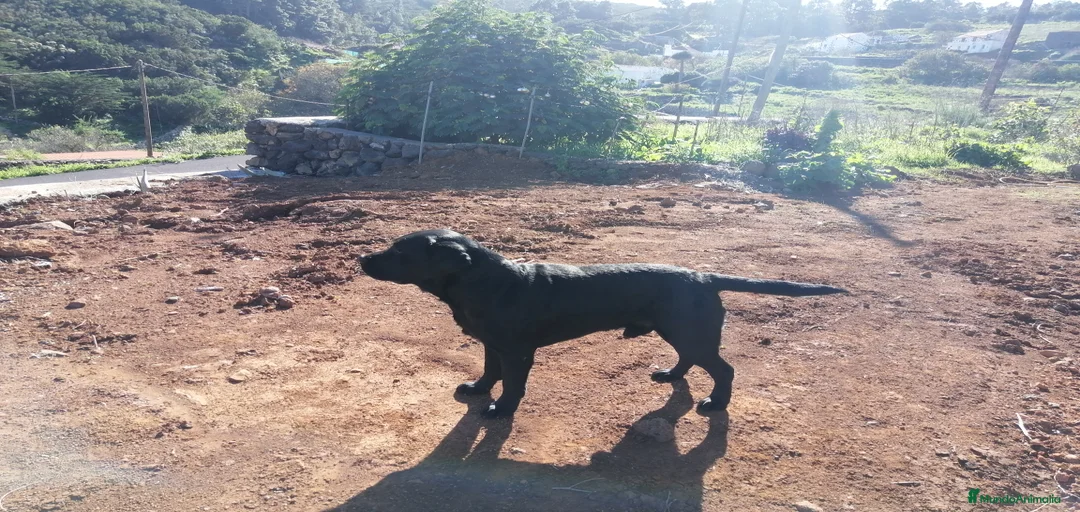 Imagen de galería {{count}}