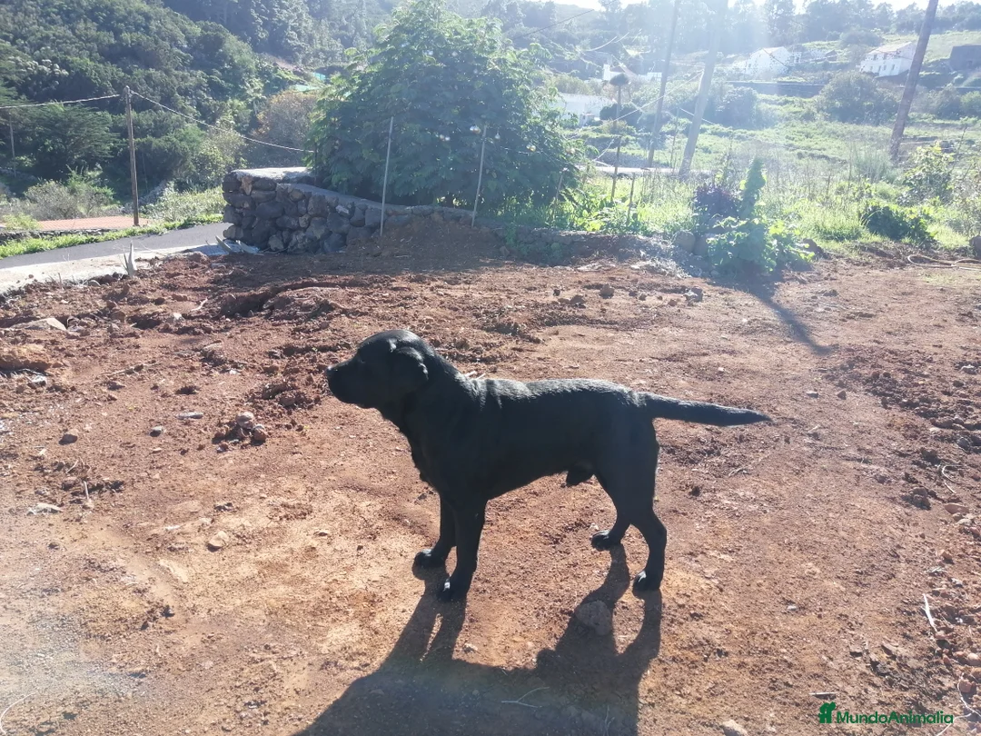 Imagen de galería {{count}}