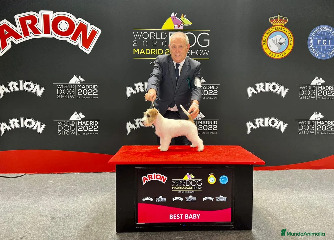 Imagen de galería {{count}}