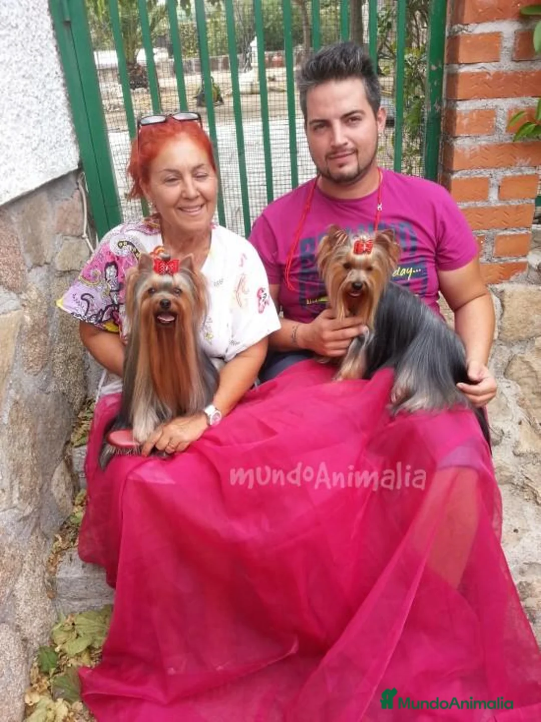 Imagen de galería {{count}}