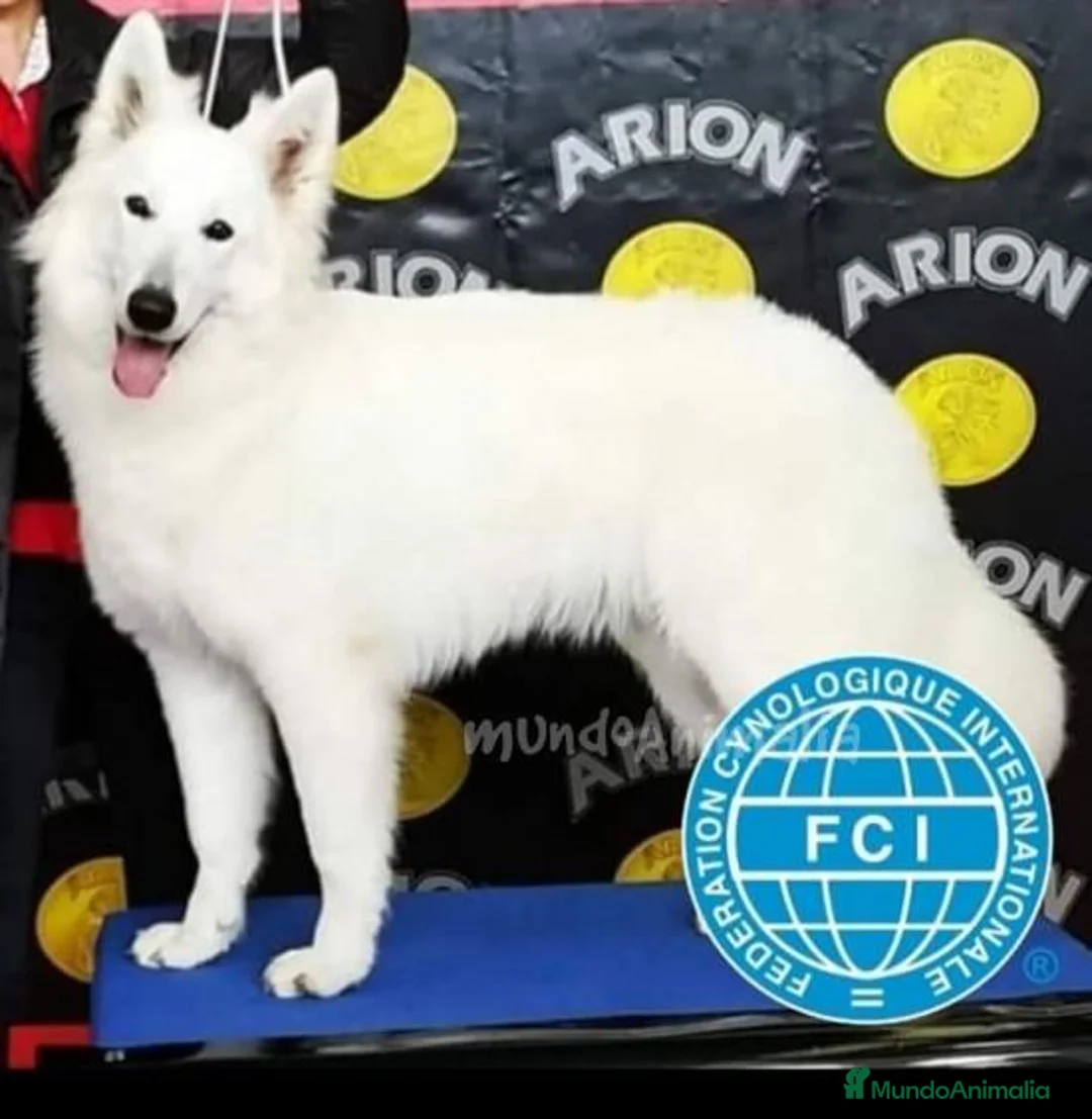 Imagen de galería {{count}}