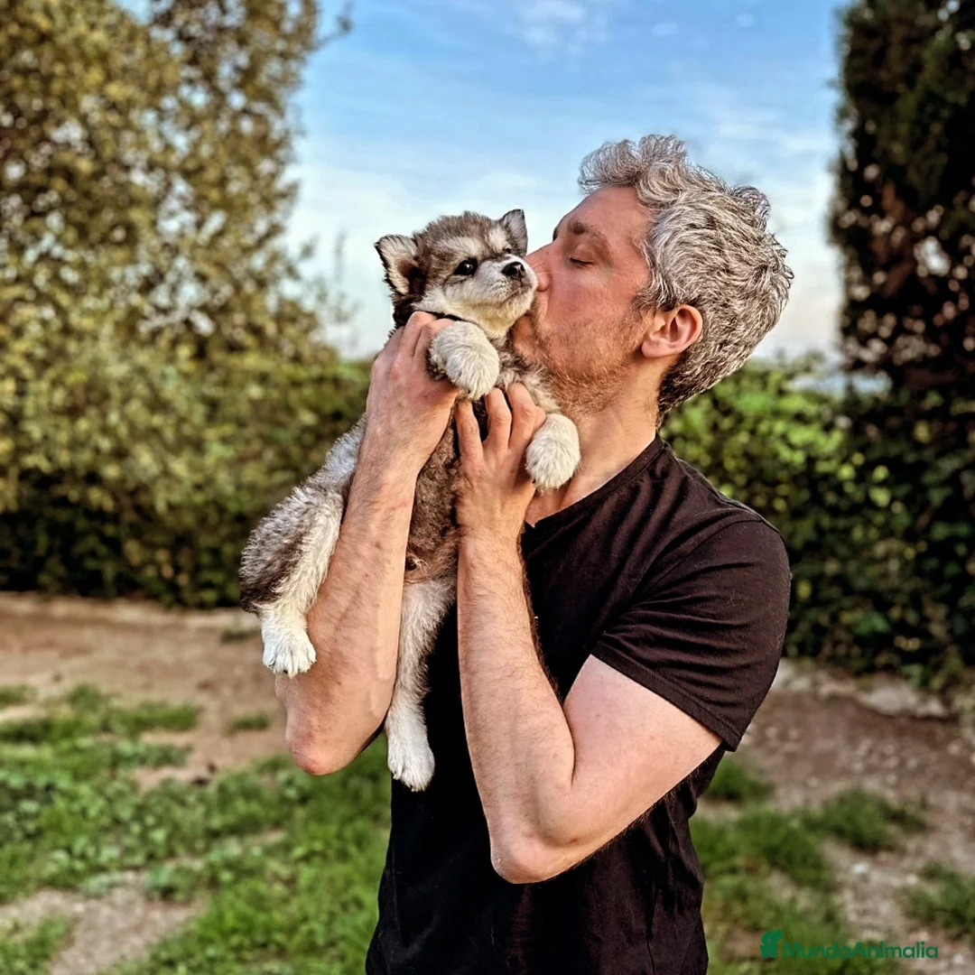 Imagen de galería {{count}}