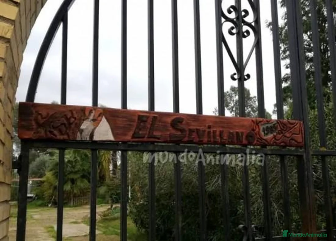 Imagen de galería {{count}}