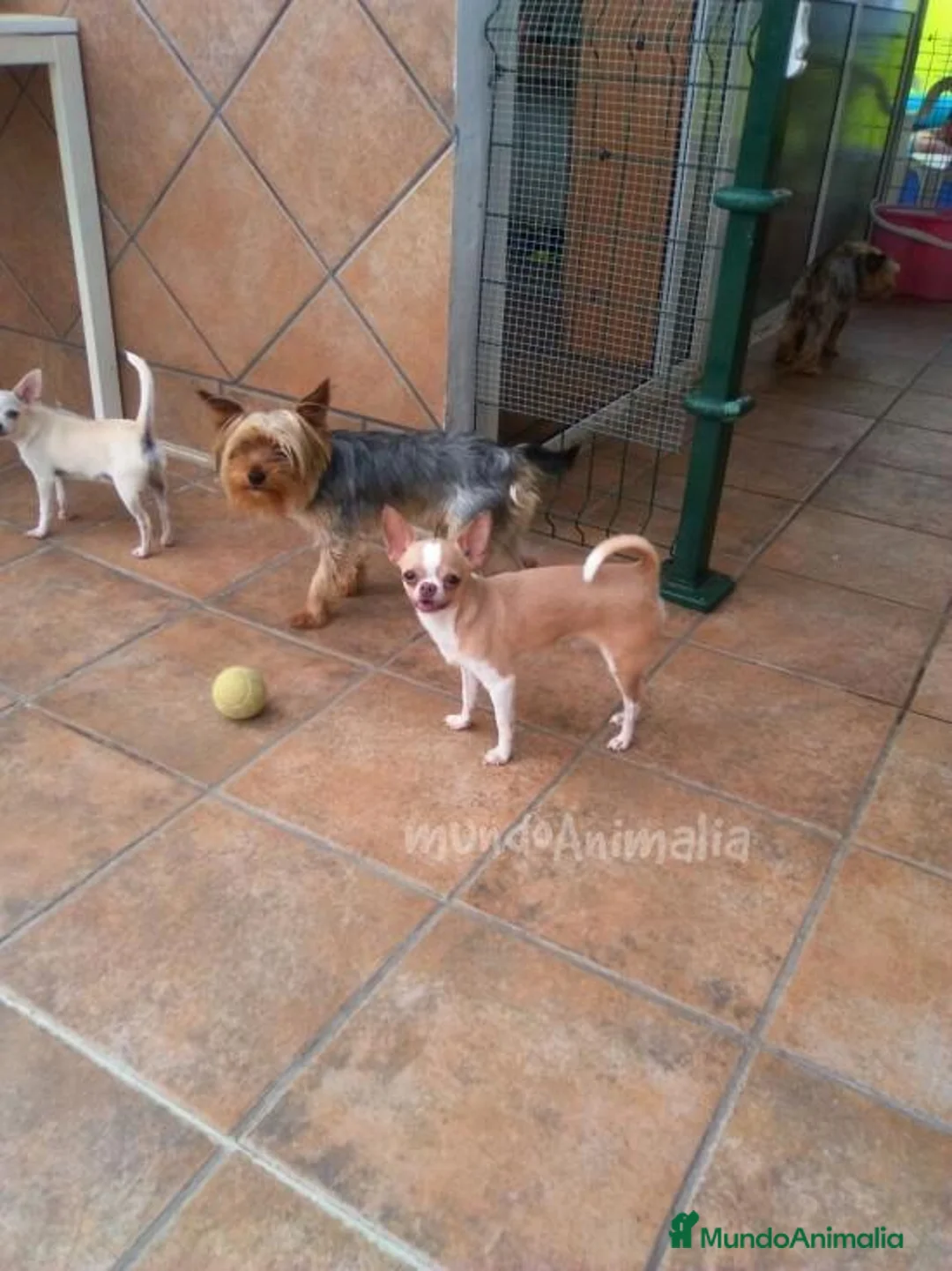 Imagen de galería {{count}}