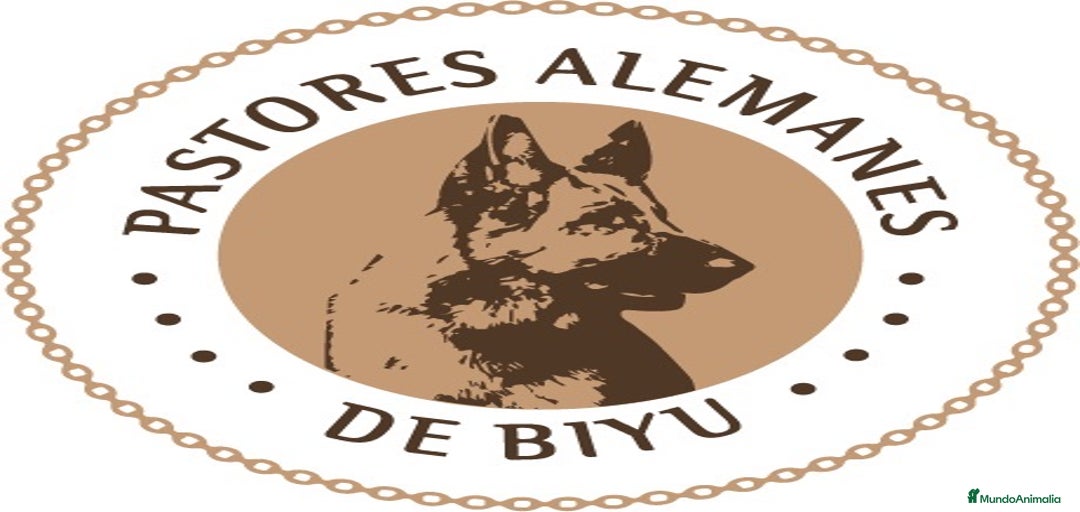 Imagen de galería {{count}}