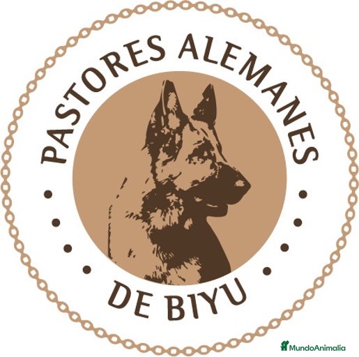 Imagen de galería {{count}}