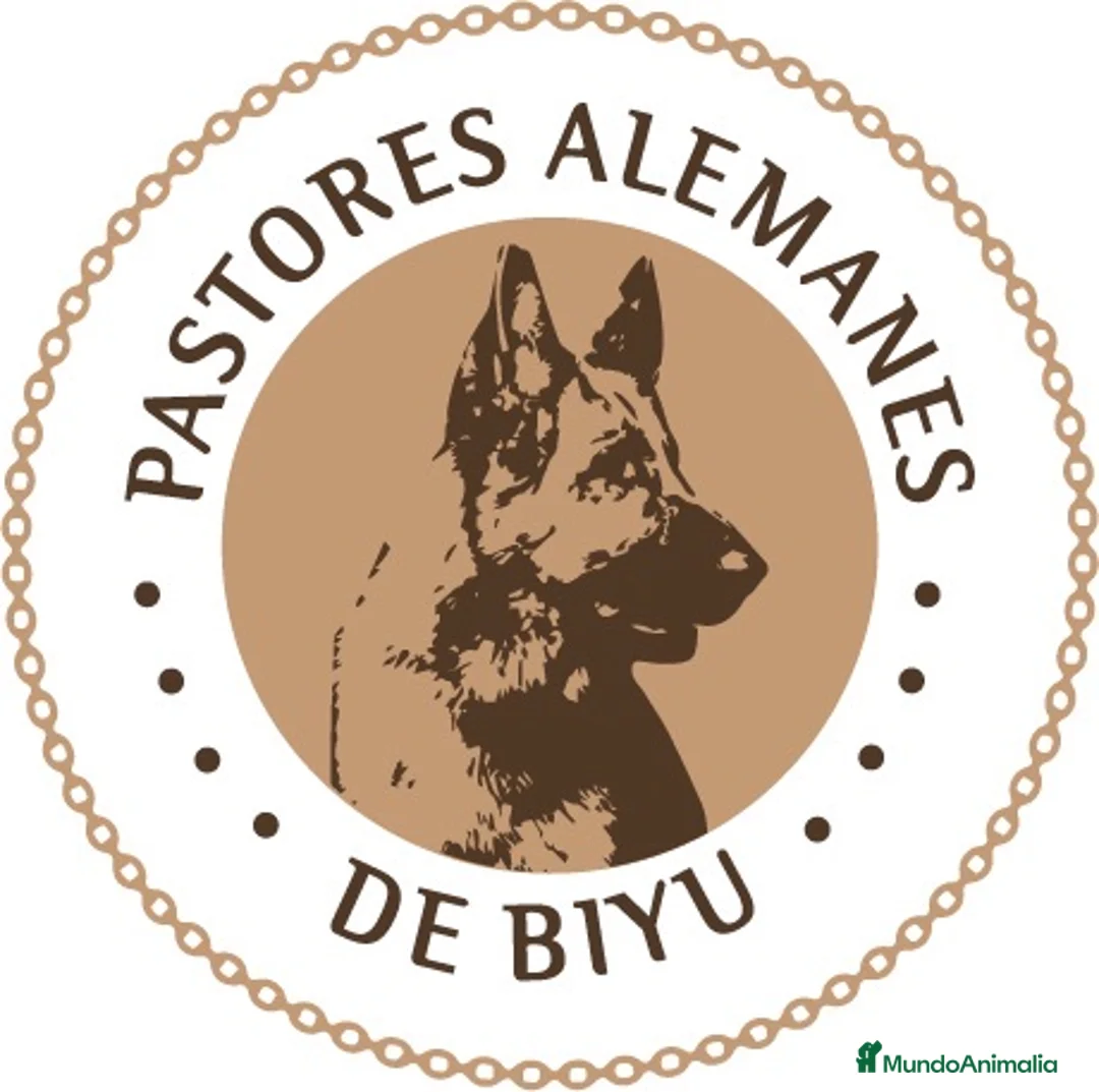 Imagen de galería {{count}}