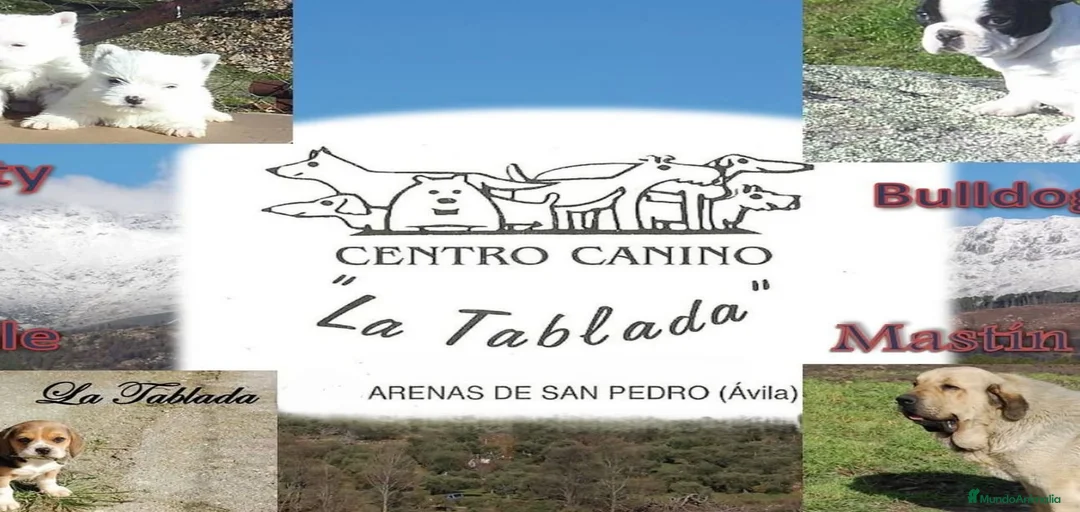 Imagen de galería {{count}}