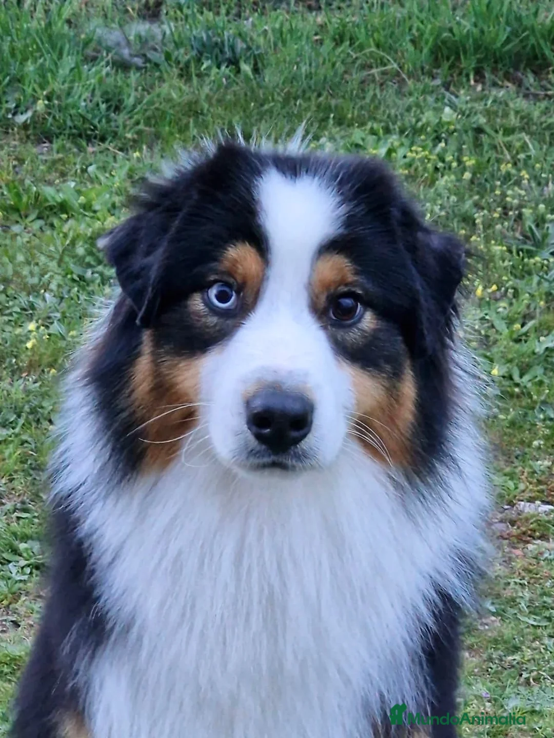 Imagen de galería {{count}}