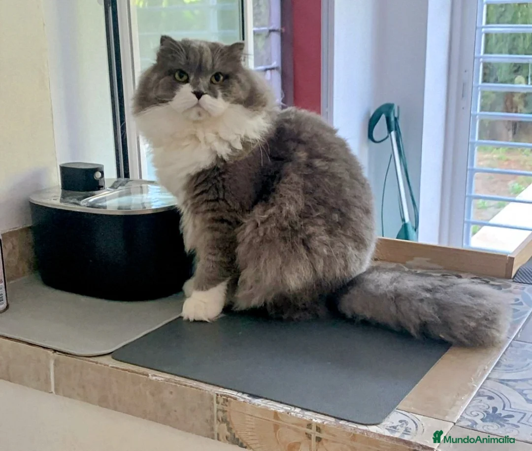 Imagen de galería {{count}}