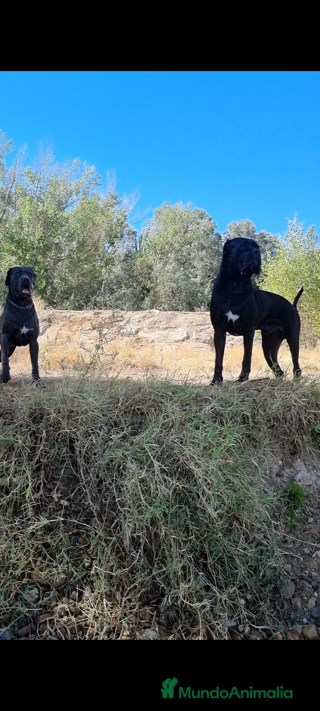 Imagen de galería {{count}}