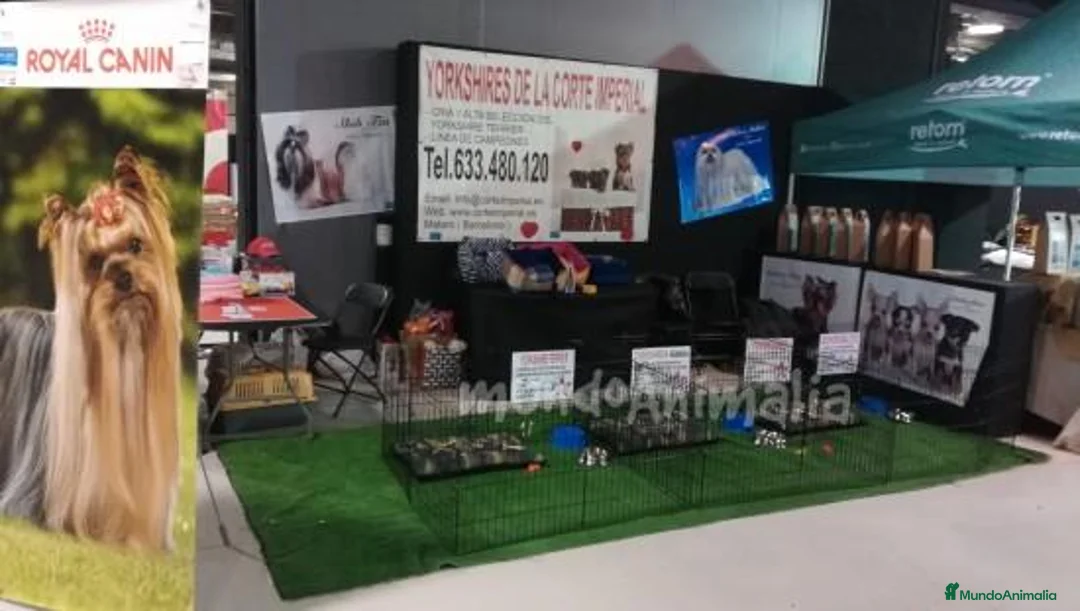 Imagen de galería {{count}}