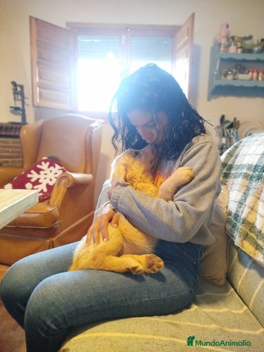 Imagen de galería {{count}}