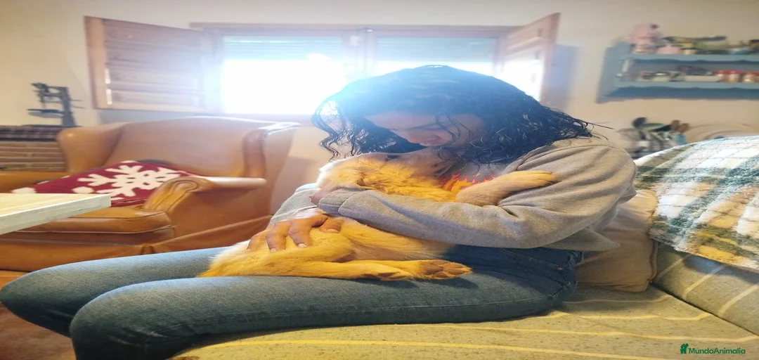 Imagen de galería {{count}}